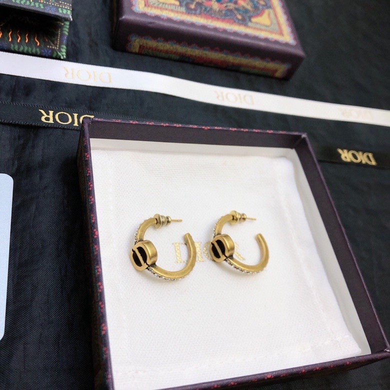 Dior Earring 06yxs66